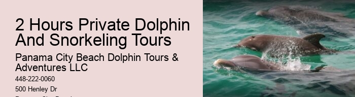 Panama City Beach Dolphin Tours Prices