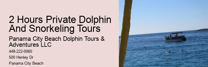 Panama City Beach dolphin boat excursions