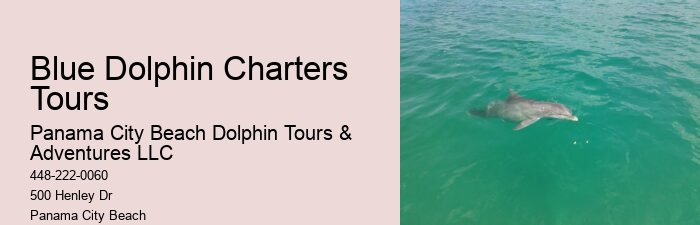 Dolphin Excursion