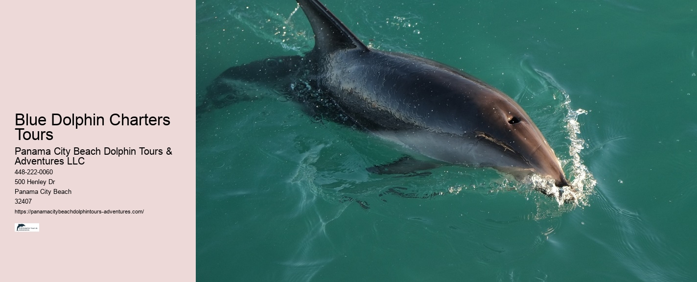 Are there any restrictions on interactions with dolphins during the tours in Panama City Beach