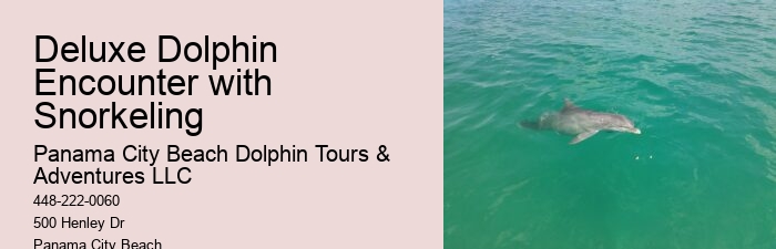 Dolphin And Snorkeling Tours In Panama City Beach