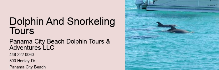Do Dolphins Have A Dark Side