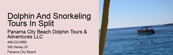 Can Dolphins Smell Fear