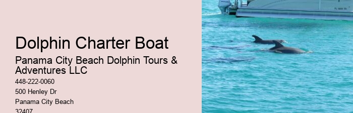 What Is The Difference Between Dolphin Swim And Dolphin Encounter