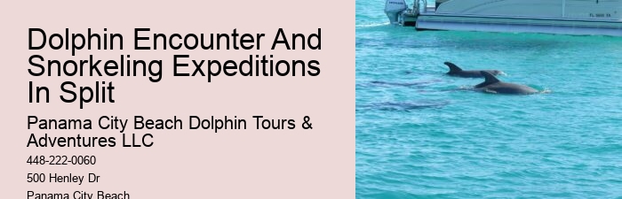 Snorkeling Tour