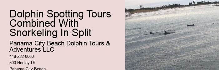 Split Boat Trips For Dolphin Watching And Snorkeling
