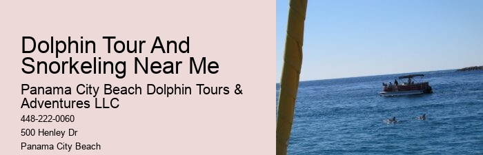 Panama City Dolphin Seafari Tours