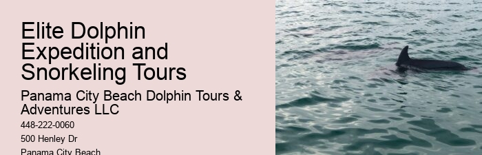 Can I purchase souvenirs related to the tour afterward