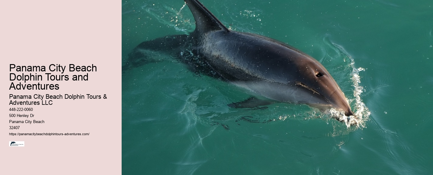 Dolphin Boat Tours Panama City Beach