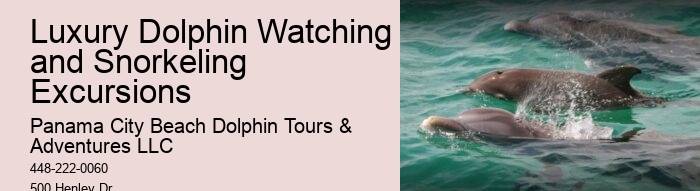 Why Can't You Wear Jewelry When Swimming With Dolphins