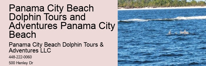 Split Island-hopping Tours With Dolphin Spotting And Snorkeling