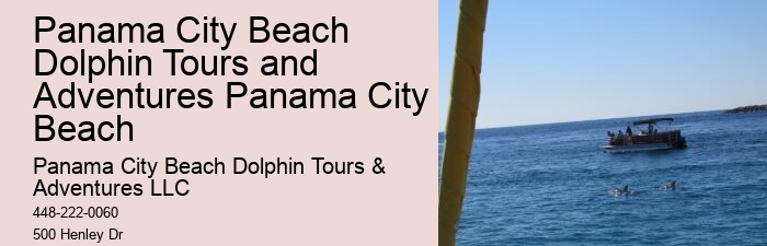 Island Excursion And Dolphin Watch
