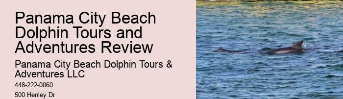 Top 5 Places To Swim With Dolphins