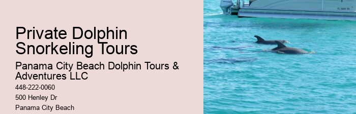 2 Hour Private Dolphin Tour