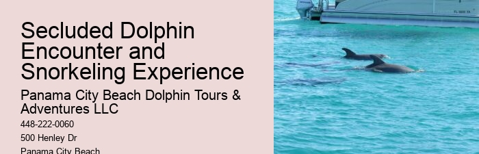 Is It Safe For Humans To Swim With Dolphins