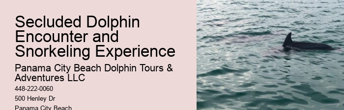 Dolphin And Snorkeling Tours Panama City Beach