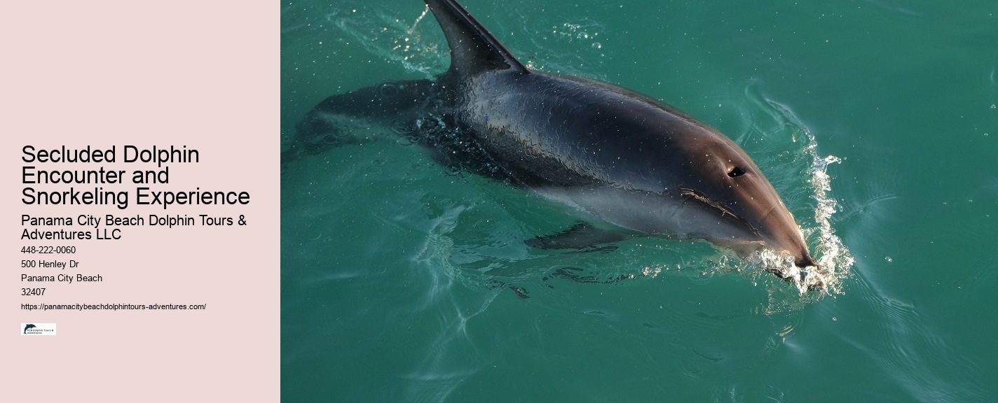 Are Panama City Beach dolphin tours educational