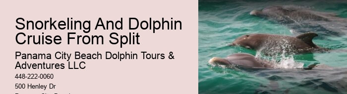 Where Is The Best Place To Swim With Dolphins