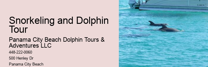 Panama City Beach Dolphin Swim