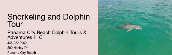 Panama City Beach dolphin safari