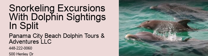 Secluded Dolphin Encounter and Snorkeling Experience