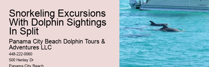 How Much Does It Cost To Swim With Dolphins In Florida