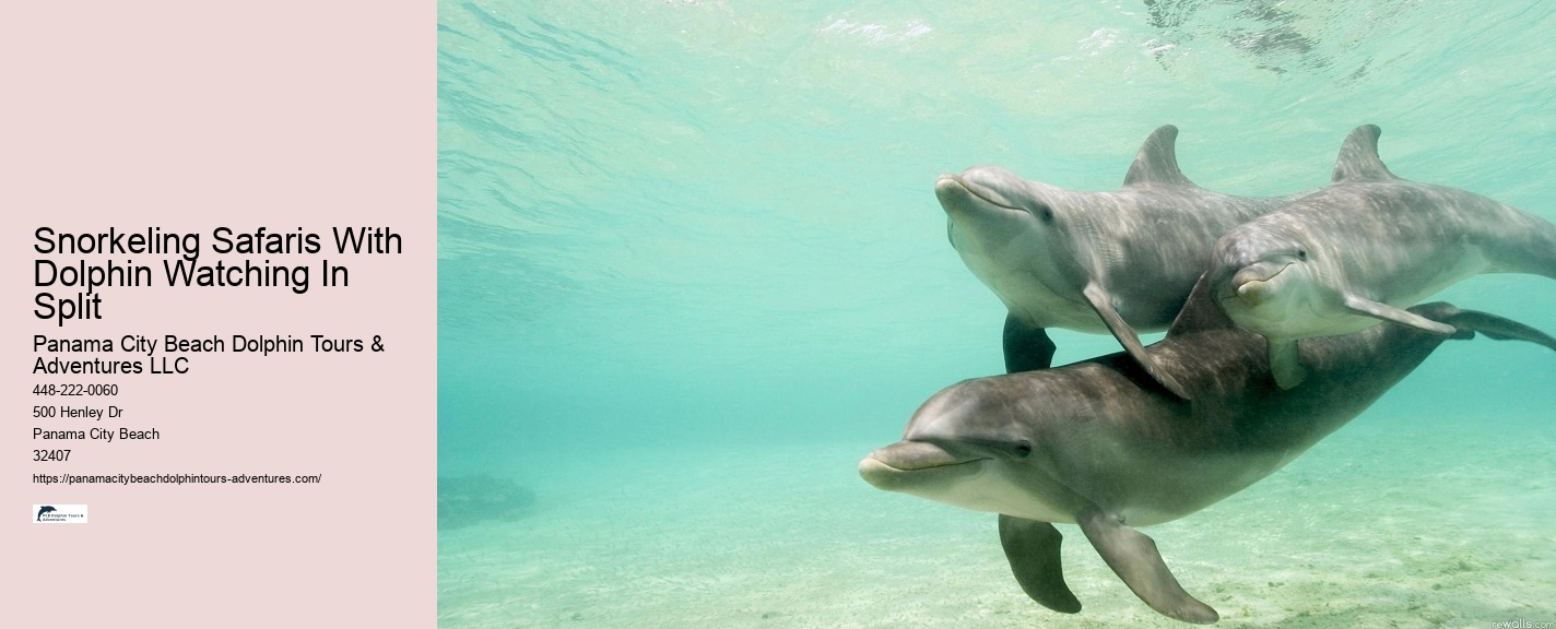 Are You Not Supposed To Touch Dolphins