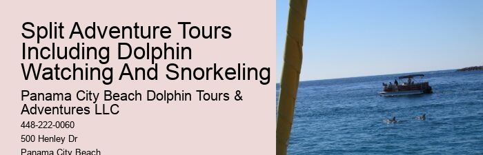 PCB Dolphin Discovery Voyages