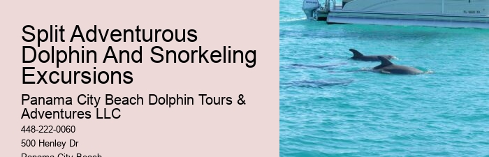 Do Dolphins Use 100% Of Their Brain