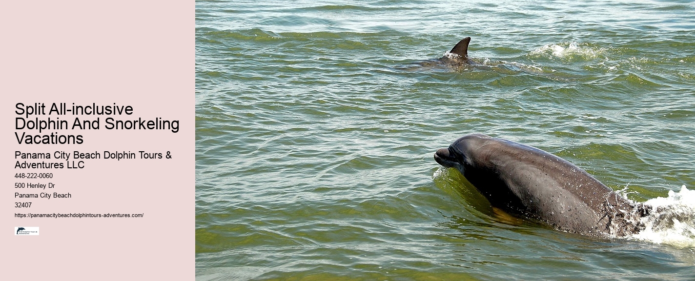 Panama City Beach Dolphin Tours and Adventures