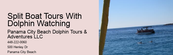 Dolphin & Snorkeling Tours Panama City Beach