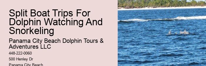 Split Wildlife Tours Featuring Dolphin Encounters And Snorkeling