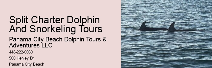 How Long Do Dolphins Live