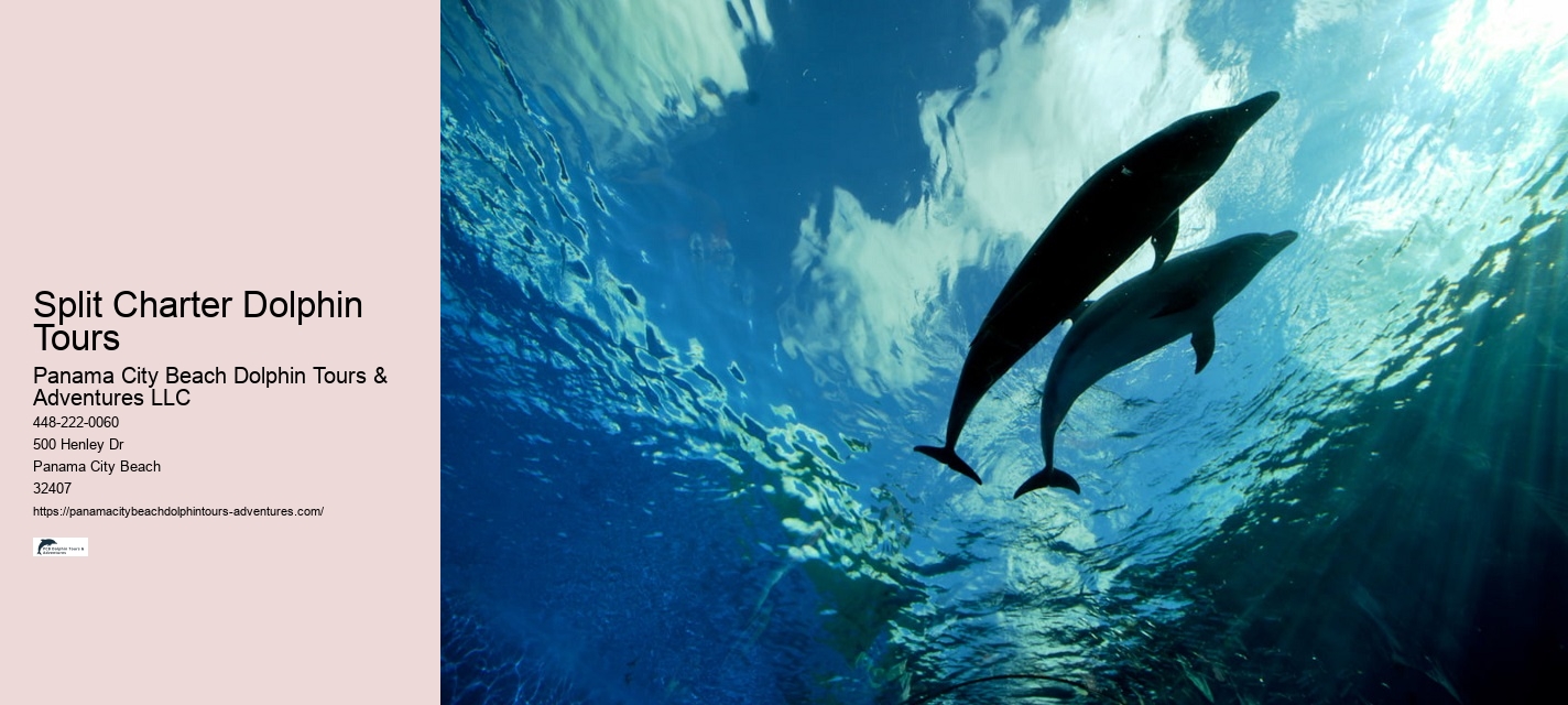 A Helping Flipper: Why Do Dolphins Save Humans