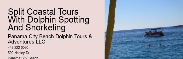 Split Exclusive Snorkeling And Dolphin Charters