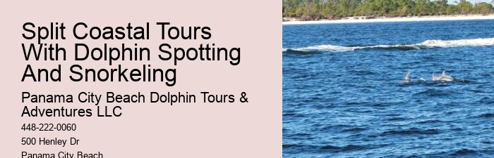How Much Does Dolphin Cove Cost