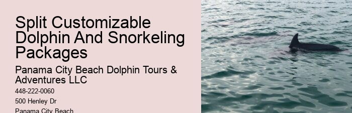 Behind The Smiles: The Suffering Endured By Captive Dolphins