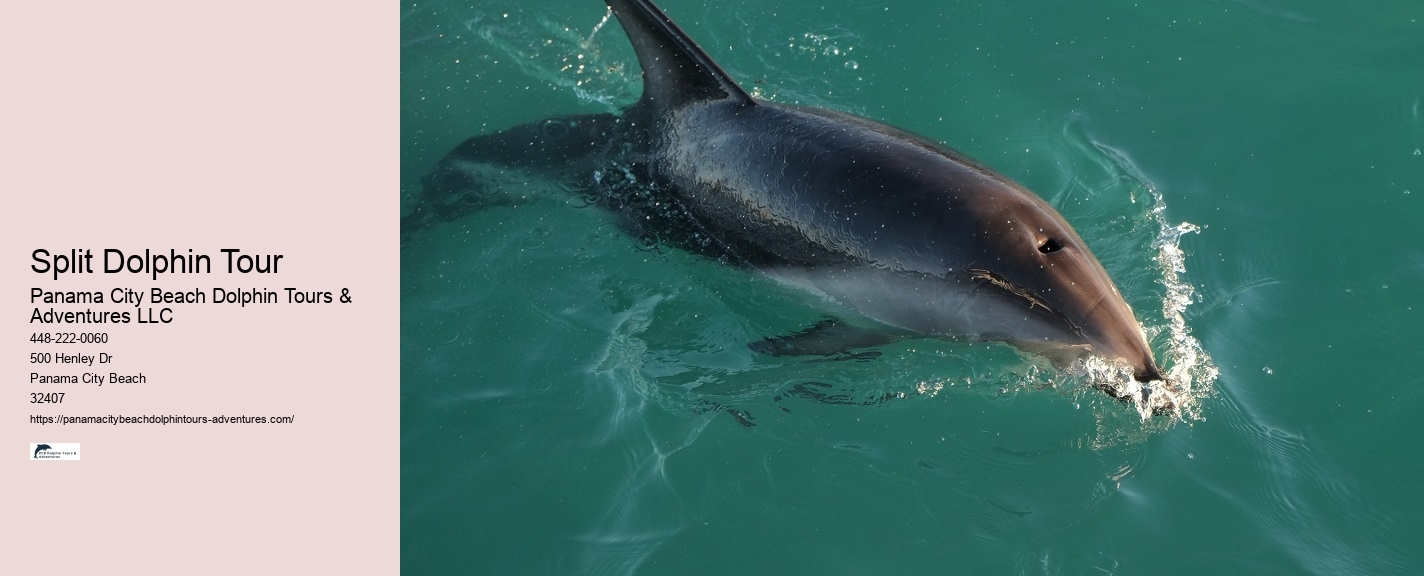 Aquatic mammals