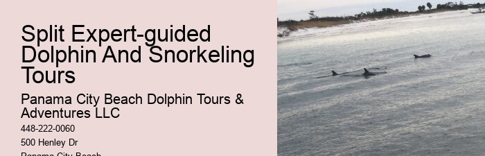 Are food and drinks provided on dolphin tours in Panama City Beach