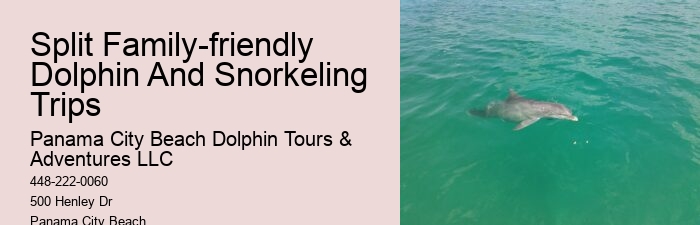 Do dolphin tours in Panama City Beach guarantee sightings