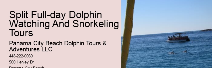 Split Educational Dolphin And Snorkeling Cruises