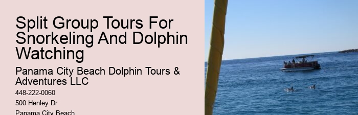 Tailored Dolphin Discovery and Snorkeling Adventures