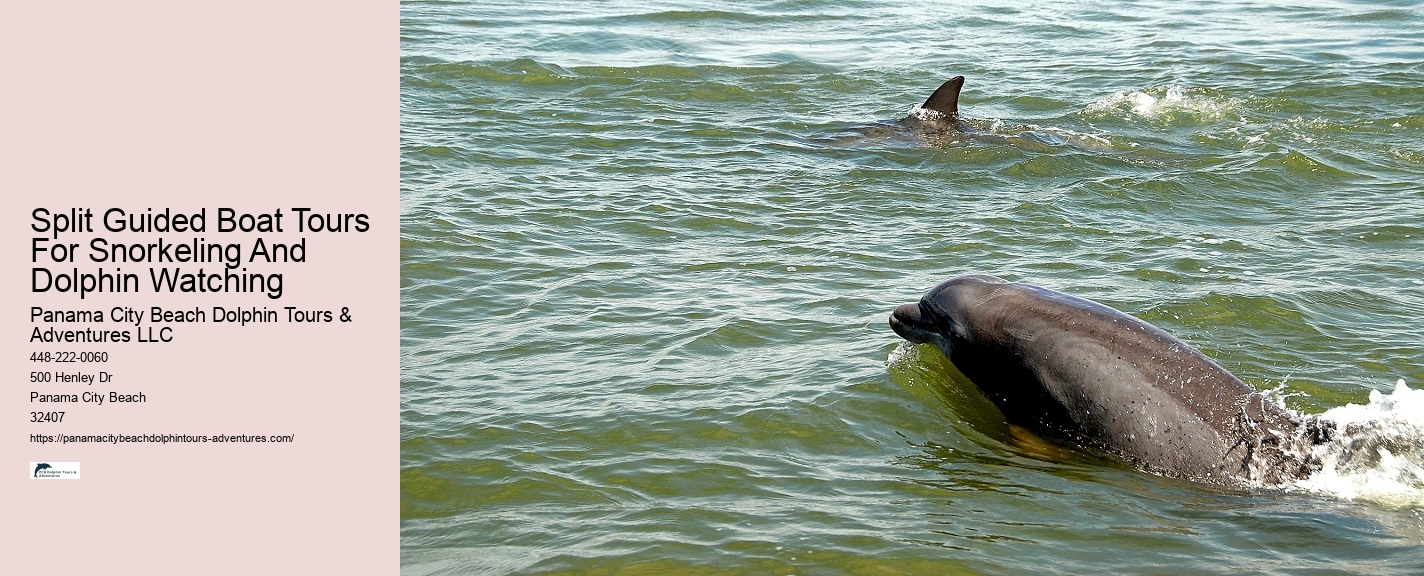 Are there evening sunset dolphin tours available in Panama City Beach