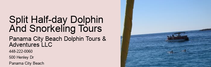 Are Panama City Beach dolphin tours suitable for people with disabilities
