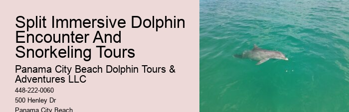Panama City Beach Catamaran Snorkel Dolphin Swim Cruise