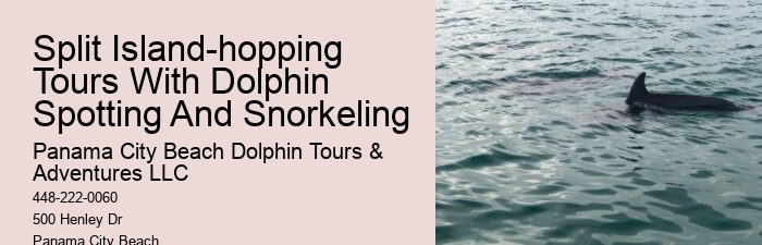 Panama City Beach Dolphin Boat Cruises