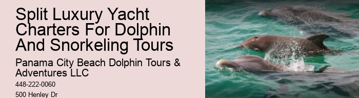Best Excursion Panama City Beach