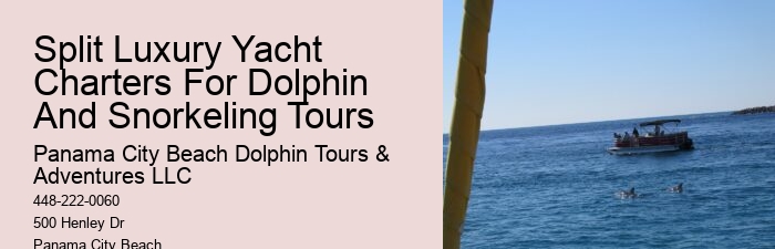 Dolphin trips in Panama City Beach