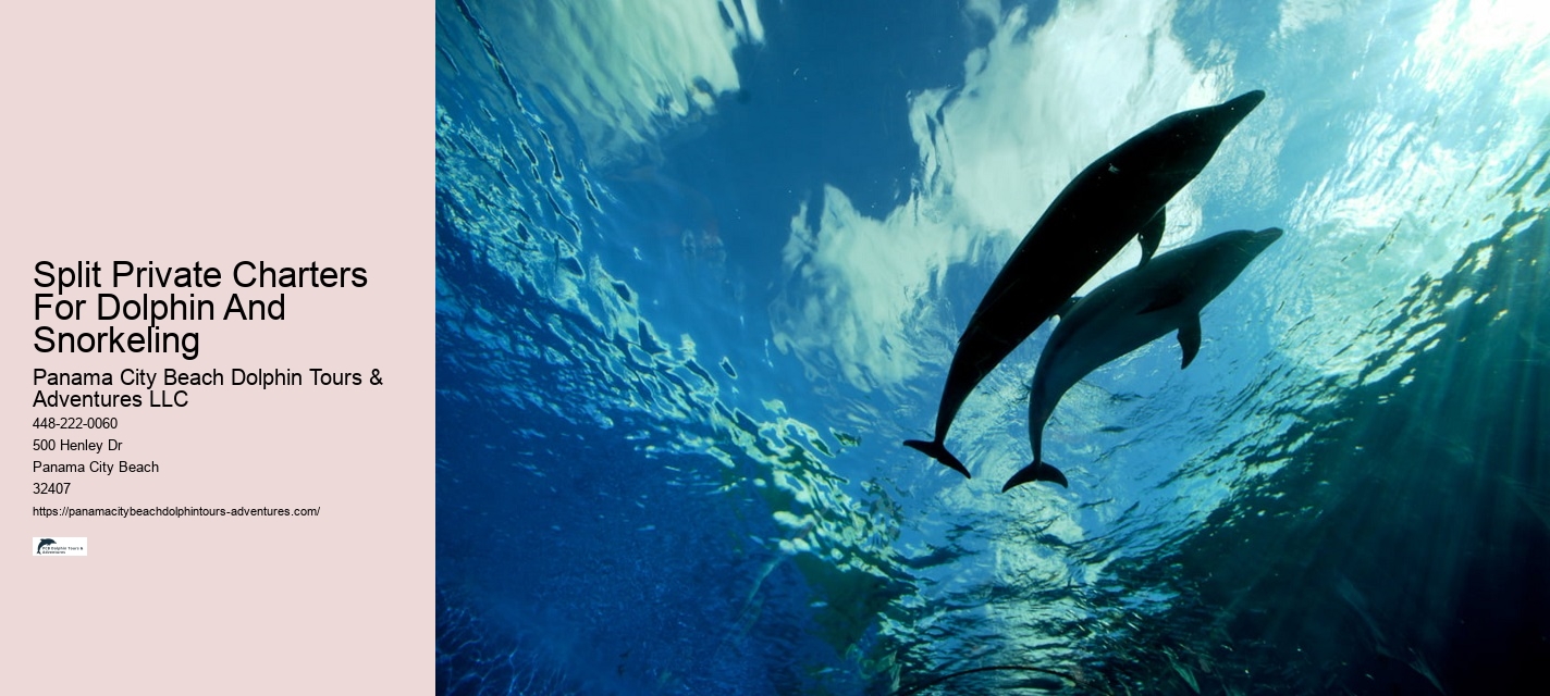 Blue Dolphin Snorkeling Tours