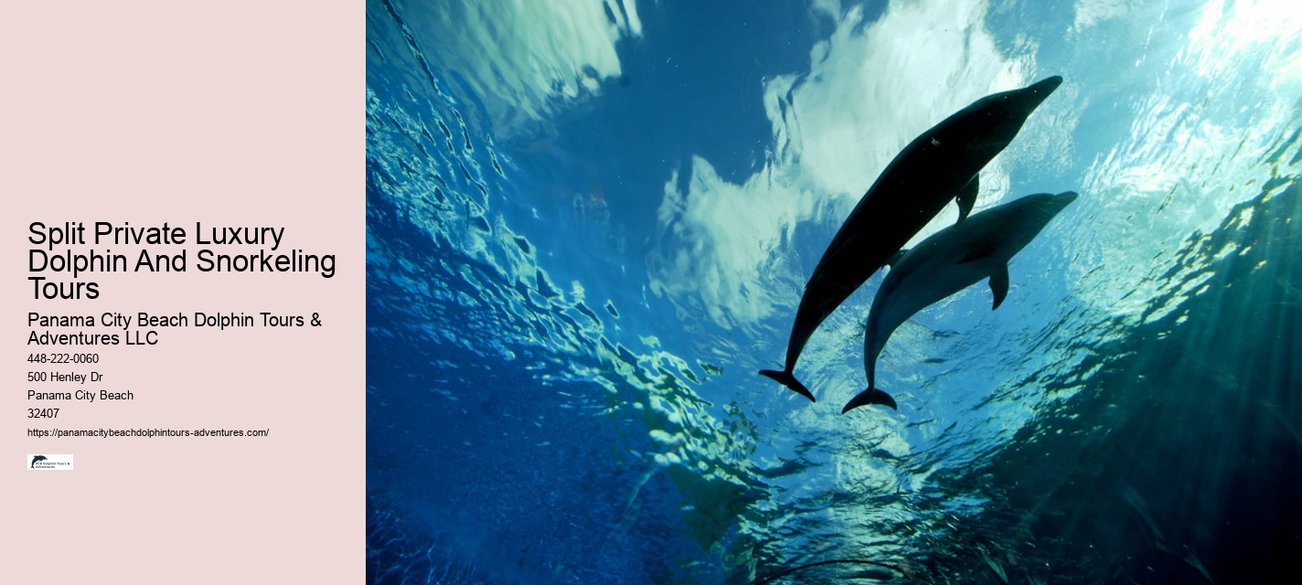 Are there any discounts available for group bookings on dolphin tours in Panama City Beach